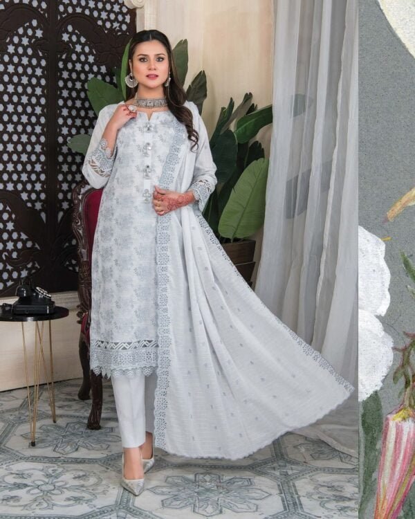 RANGRITI CHIKANKARI - 3 piece Fully Embroidered - D/09 X15833