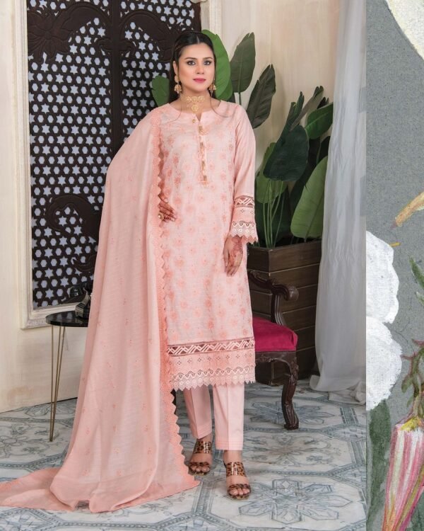RANGRITI CHIKANKARI Sana Arts unstitched Full Embroidered - D/01 X15827